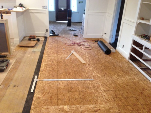 Kevin laid new plywood down to go underneath the wood flooring. 