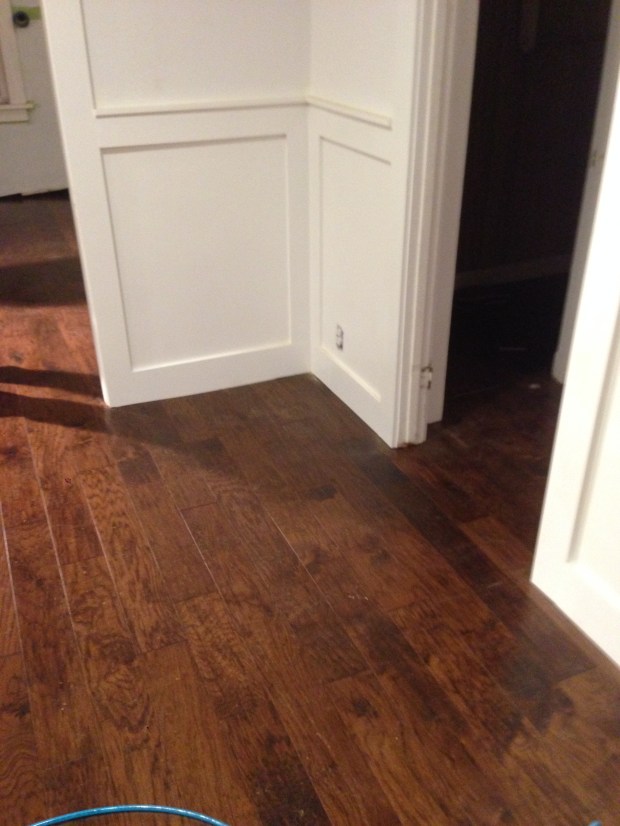Look how good the wood floor looks against the white moldings. I'm in love!