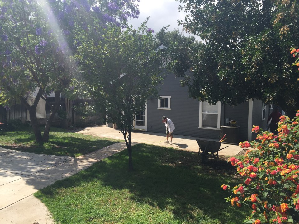 before_dadmeasuring2