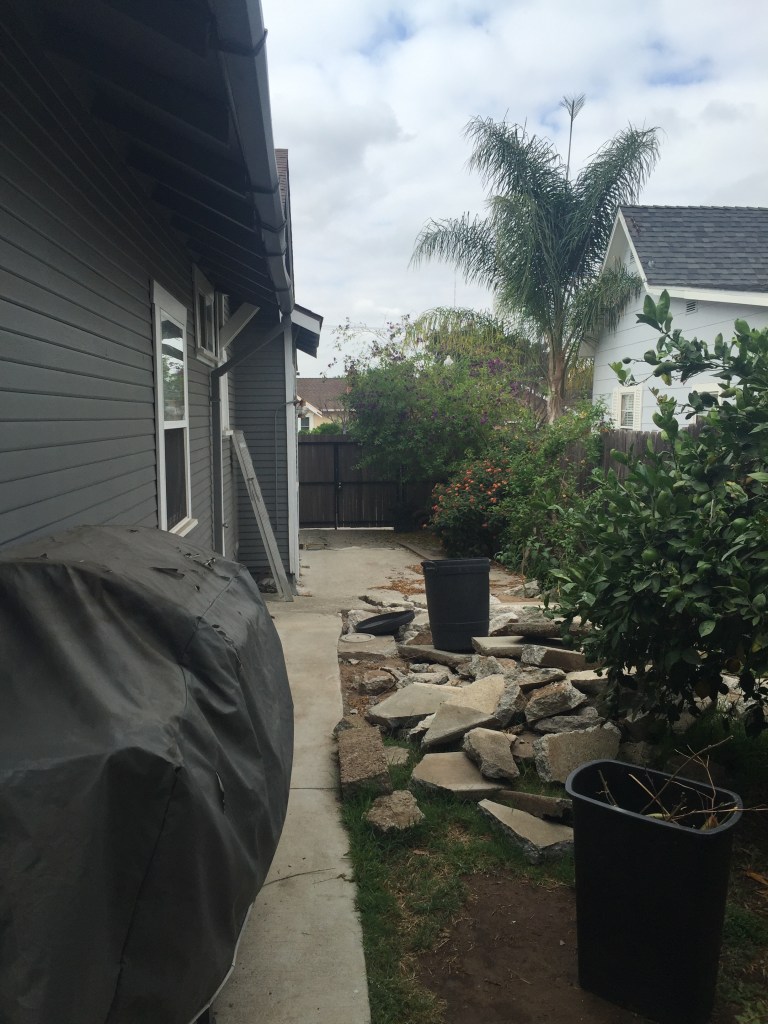 Kevin and Dan got a head start and began breaking up the concrete on the west side yard. We are saving all of these broken pieces to be reused in a winding path throughout the garden.