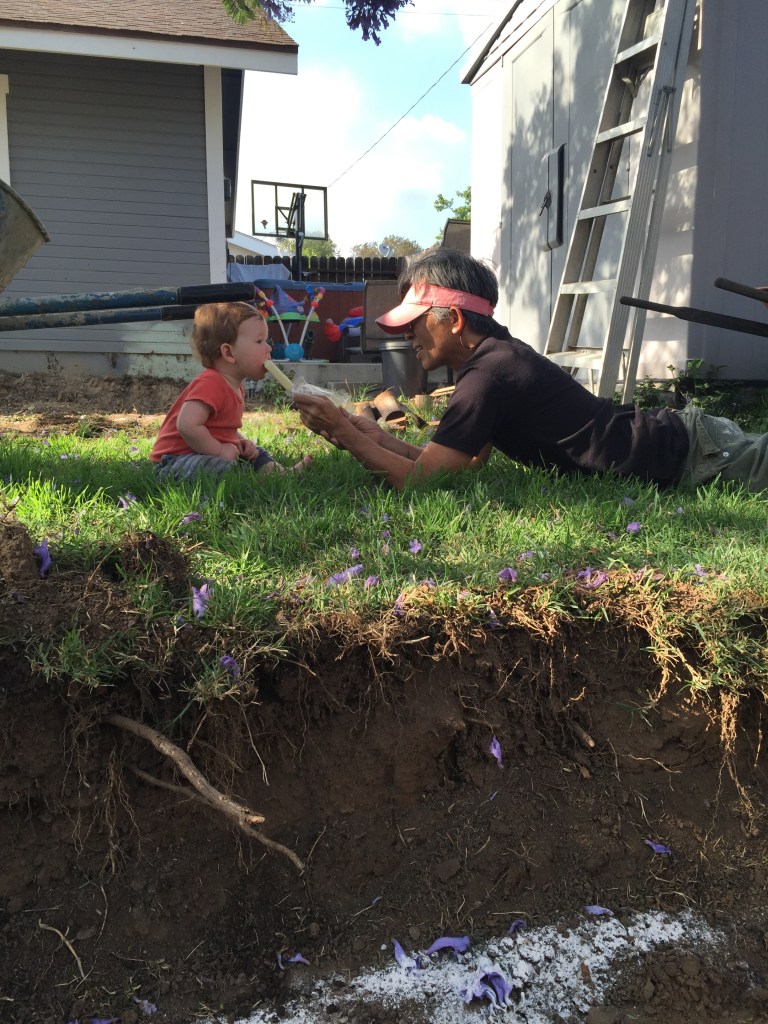 Enjoying cool breeze in the afternoon, can't wait to see what everything will look like in just a few short weeks.