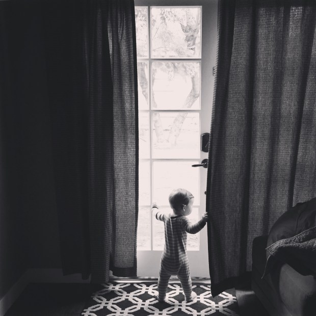 Waiting patiently for the birthday party backyard reveal!