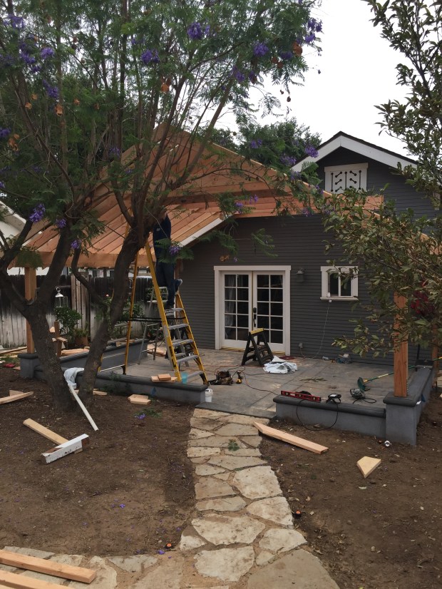 Look at the size of this thing!