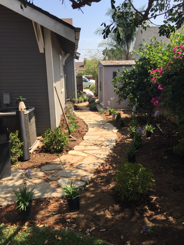 Plants being installed!