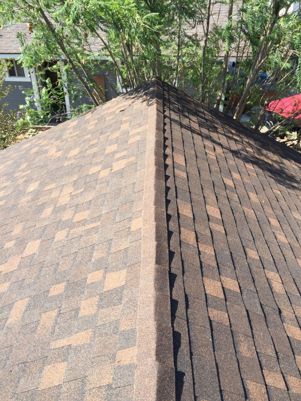 Ridge cap installed. Kevin is a proud handy man!