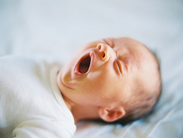 babylevibyvalentinaglidden_89