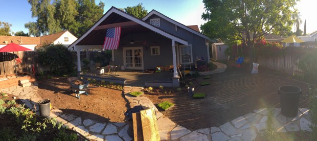 Came home from work to find my backyard like this! 2 trees and all the grass removed!